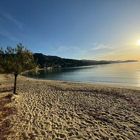 Appartement Terrasse Vue Le Lavandou